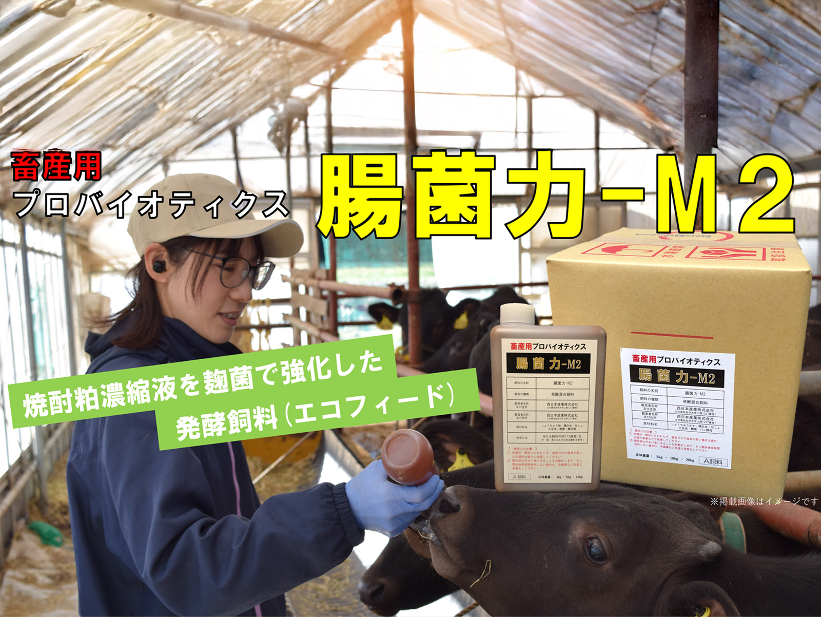 grassyard_with_some_wagyu