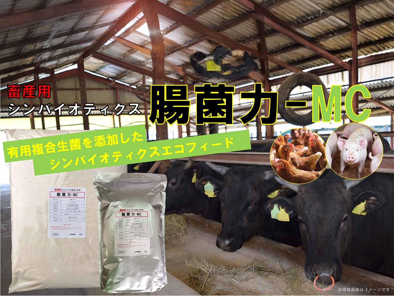 grassyard_with_some_wagyu